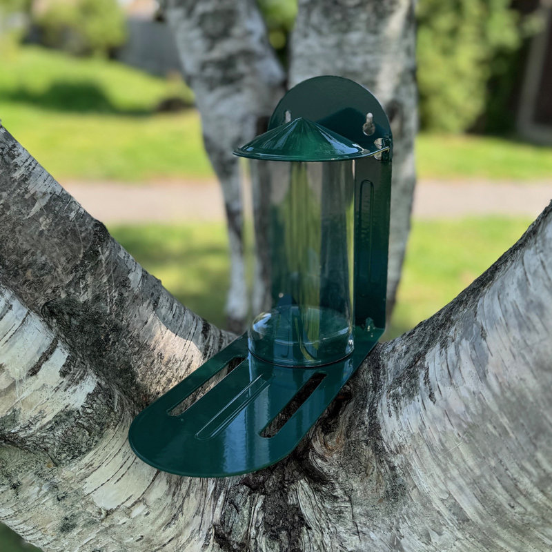 Metal Wall Squirrel Feeder