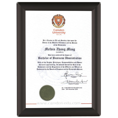 Busygrip Certificate Frame