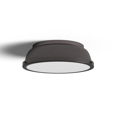 Calico 2 Light Steel Flush Mount