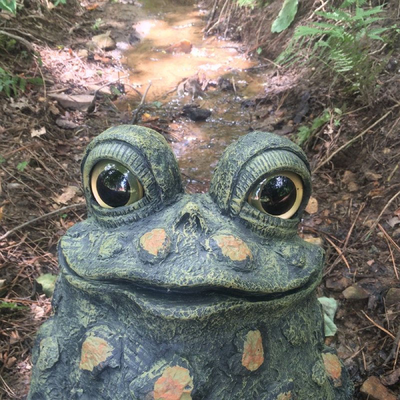 Statue de jardin fantaisiste crapaud «Stretch», H 15,5 po x l 14,5 po x P 11,75 po, Vert