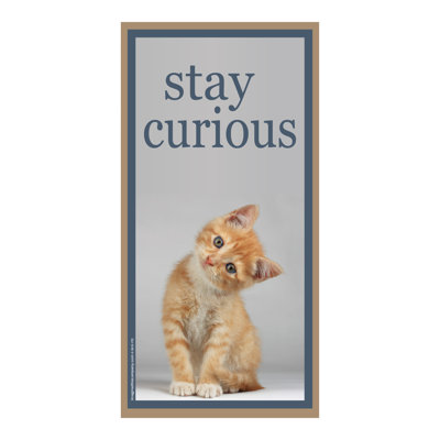 Panneau vertical en bois Stay Curious