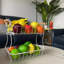 Bol à fruits-816394862
