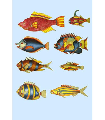 Curiosités des poissons des indes-impression d’art graphique