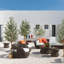 Olive artificielle 6 pi (72 po) de hauteur oliviers en soie artificielle-810713588-809732383