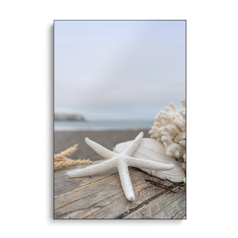 Reproduction d'art mural Steventix, "Crescent Beach Shells" par Alan Blaustein
