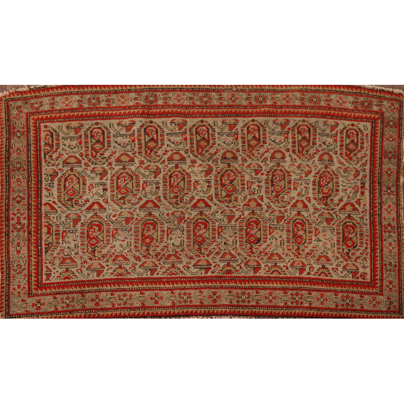 Tapis traditionnel pré-1900 à teinture végétale 2 x 3