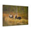 No Frame Print on Canvas-932876850