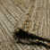Arine Striped Indoor Rug