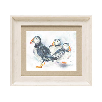 Puffins - Single Picture Frame Print