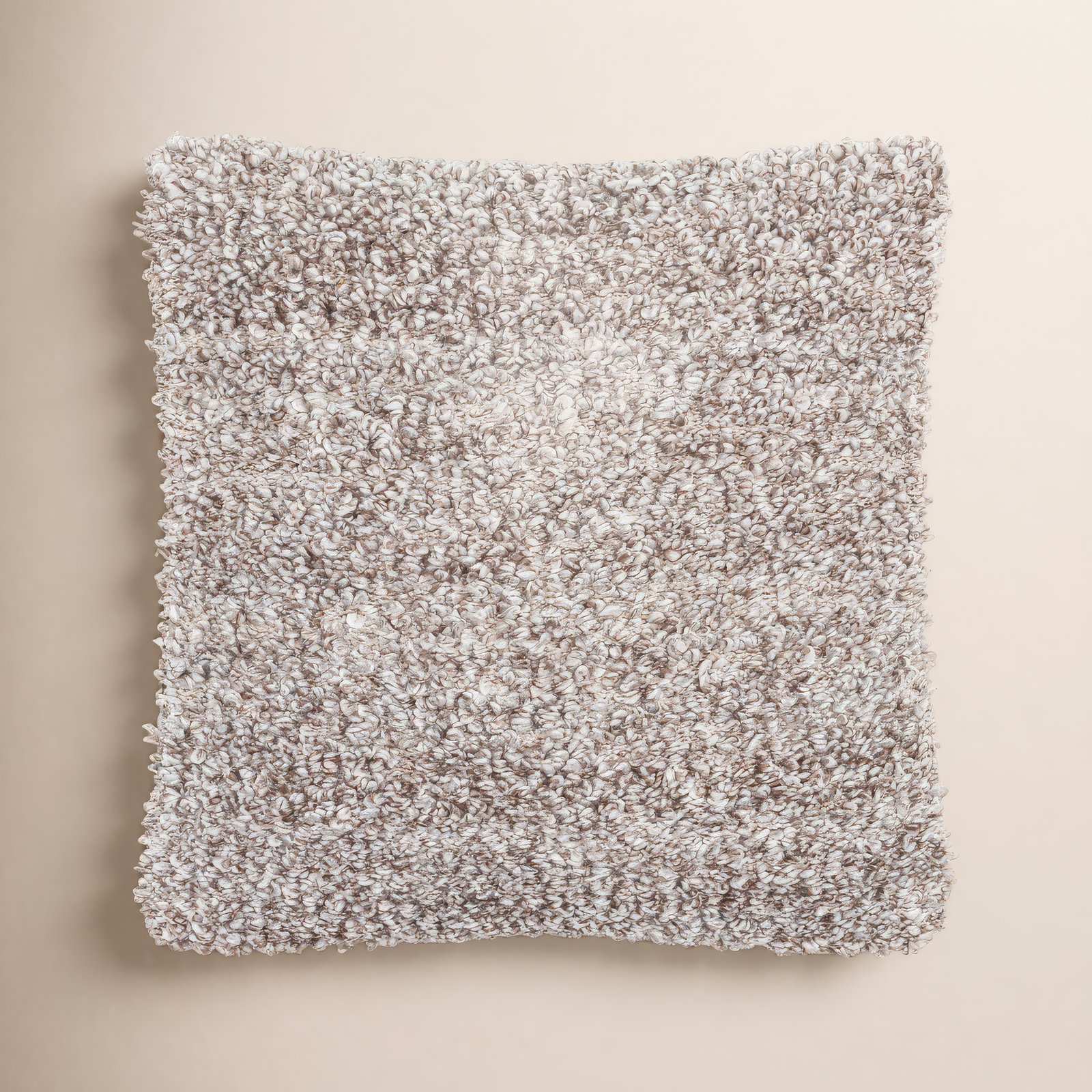 Boculette 18" x 18" Pillow Cover, Down