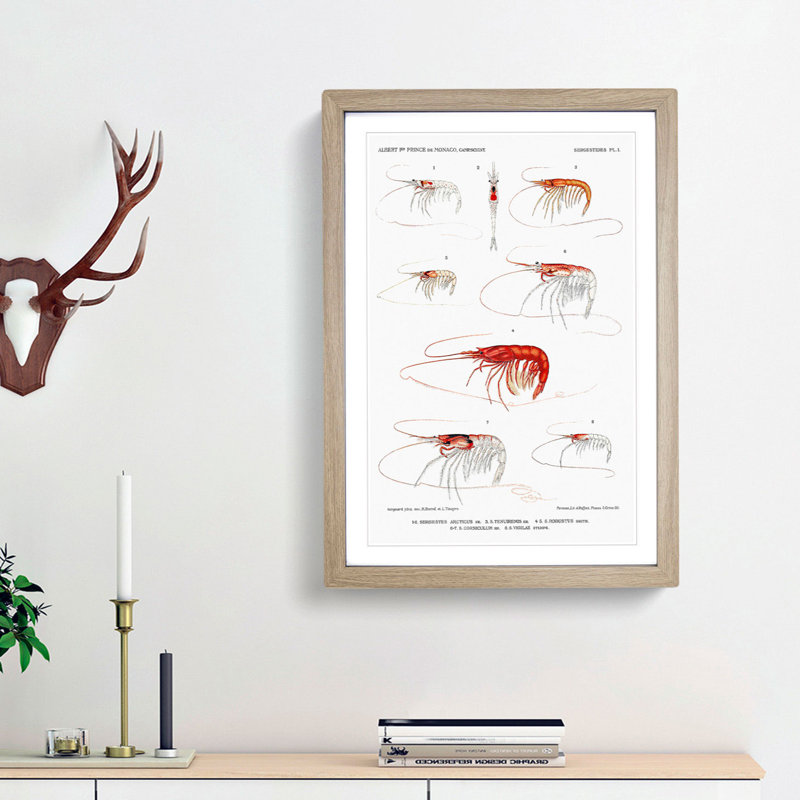 Selection of Shrimp by Albert I - Picture Frame Painting Print, 65cm H x 48cm W x 2cm D, Oak Framed