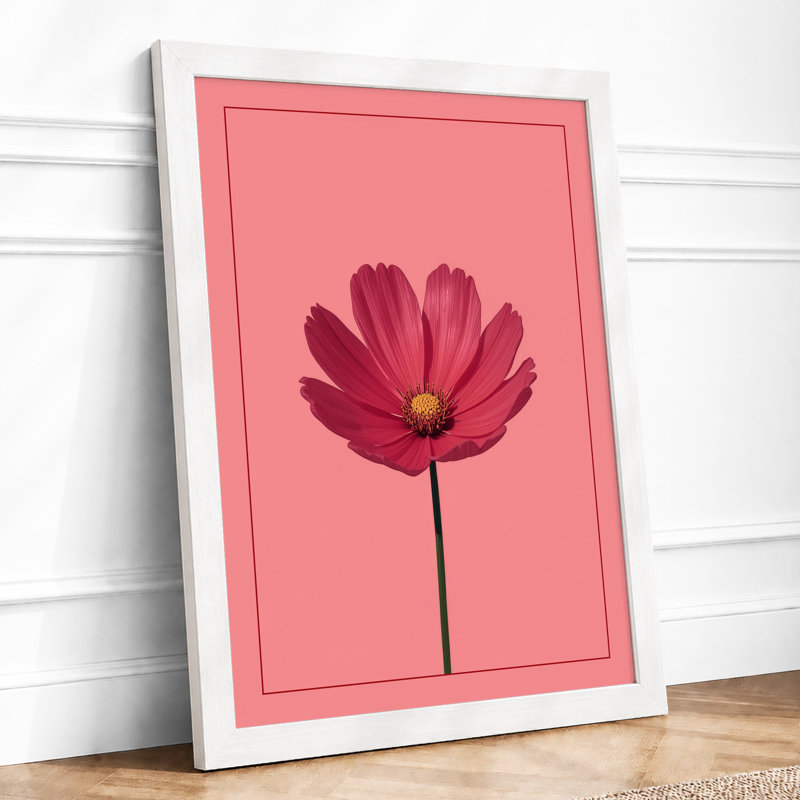 Cosmos Bloom Botanical - Framed Print, A1 - 84.1 x 59.4 cm, White