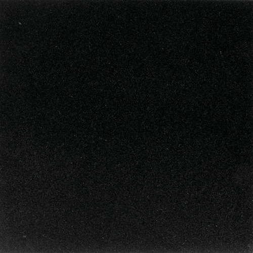 Granite Collection 24" x 24" Polished Natural Stone Field Tile in Absolute Black