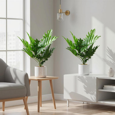 Set of 2 Artificial Philodendron Bonsai Plants, 17.7'' Tall, Marble-Look Pots with Cement Moss Base, Lifelike Greenery for Home and Office Decor