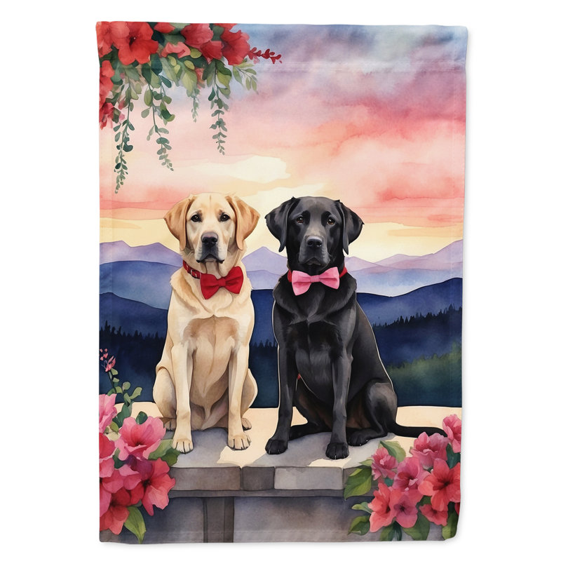 Double Sided 15.5'' H x 11.25'' W Polyester Valentine's Day Garden Flag