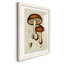 Champignon Variétés VI encadré mat - prêt à accrocher-496959134-496959131