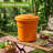 6.6 Gal Large Capacity Manual Salad Spinner