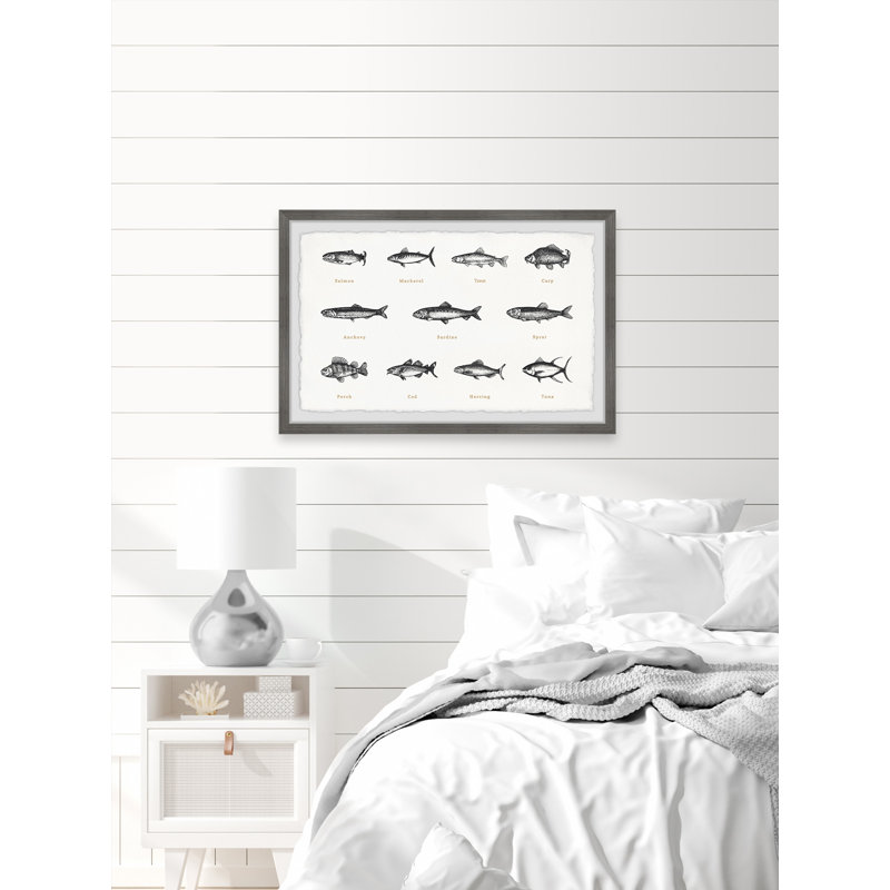 Deep-Sea Fishes In White - Single Picture Frame Print, 20cm H x 30cm W x 3.81cm D