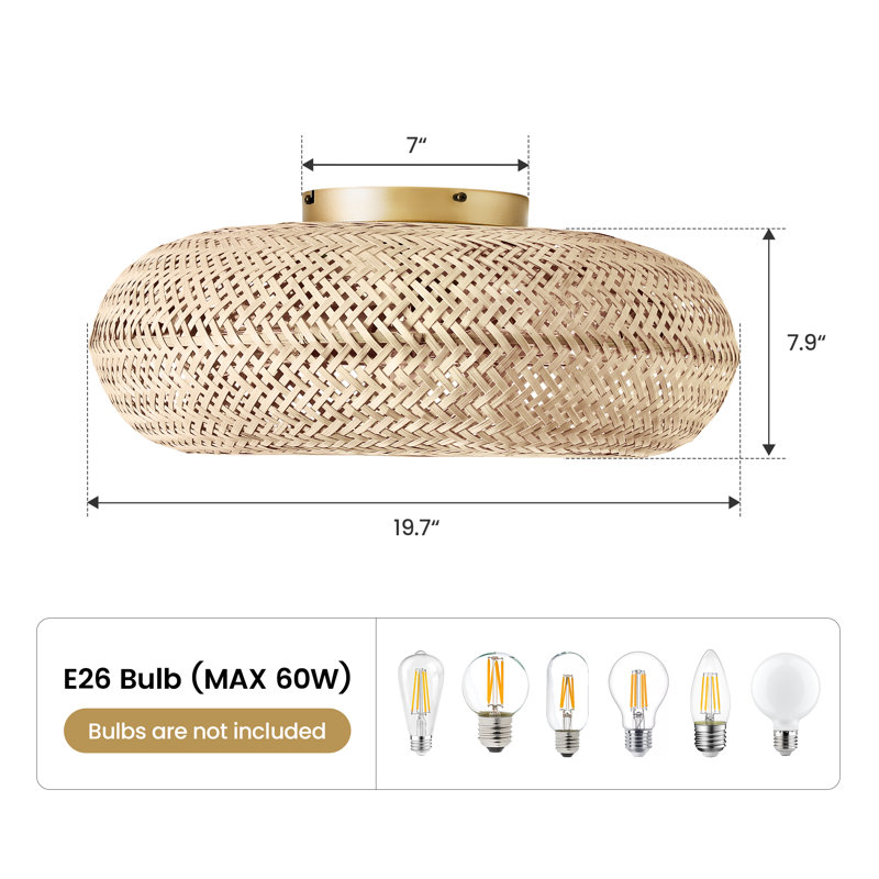 Ventilateur de plafond 20 po avec cage Boho
