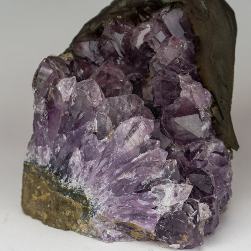 Medium Genuine Rose Quartz Clustered Gemstone Tree on Amethyst Matrix (The Love Tree)