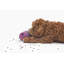 La mangeoire hybride The Game-87061920