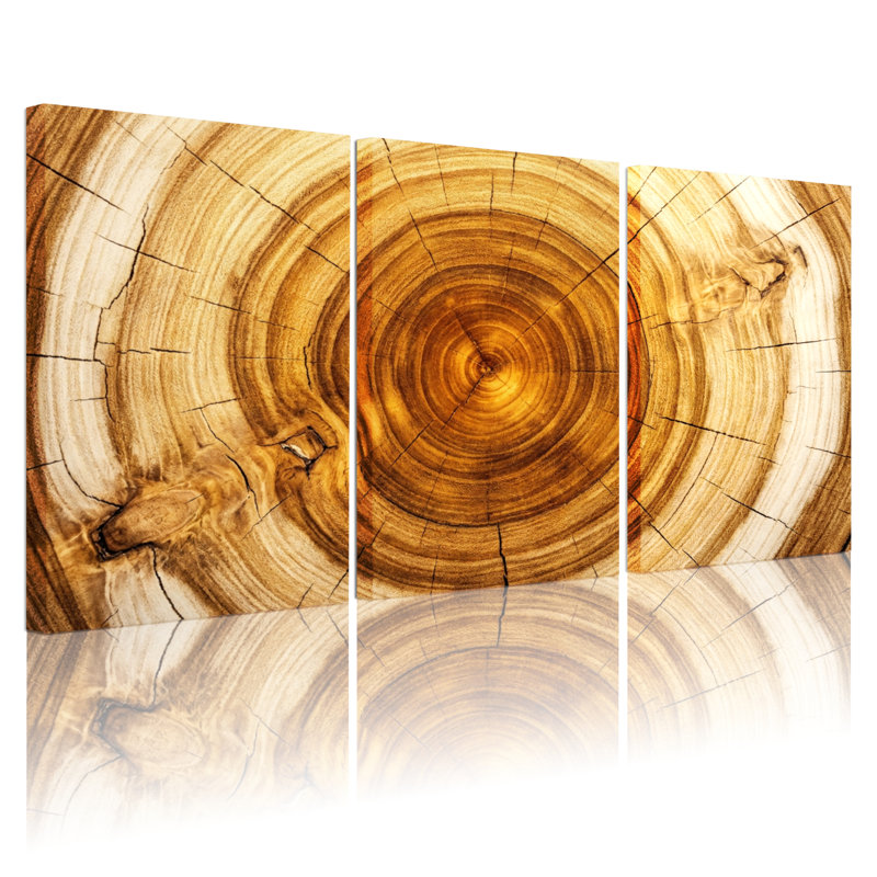 Ensemble de 3 tableaux sur toile imitant les cernes d'un arbre, à l'aspect bois, pour la décoration du salon, de la chambre et de la maison.