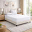 Super Luxury Microfiber 25 cm Plain Fitted Sheet -1109810175-1109810123