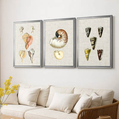 Coquilles antiques sur toile de lin VI - Toile tendue avec châssis sur mesure - 3 pièces