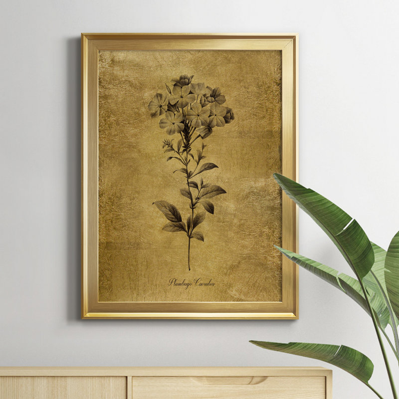 Ameelya " Gold Sketch Botanical II ", Gold, 30.5" H x 22.5" W x 1" D