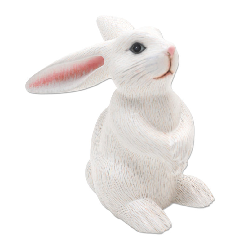 Adorable lapin Brazell, Blanc