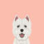 Highland Terrier, impression sur toile tendue-19741839-74755568-74755569