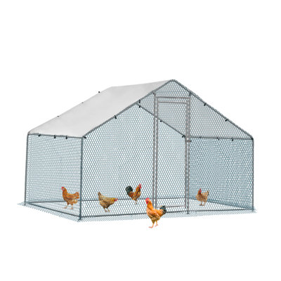 Cammock 65m² Chicken Coop