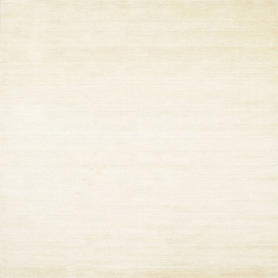 Indoor Rug
