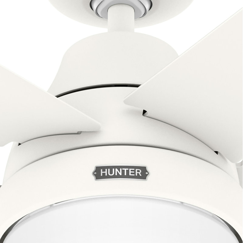 Hunter 60 inch Aerodyne Wi-Fi ENERGY STAR® Ceiling Fan with LED Light Kit and Handheld Remote