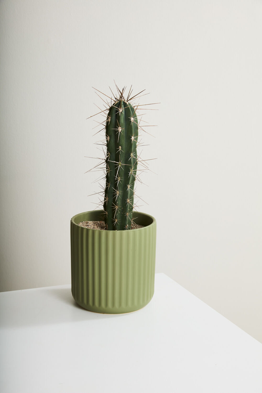 Simona Ceramic Pot Planter, 9.25" H x 9.25" W x 9.25" D