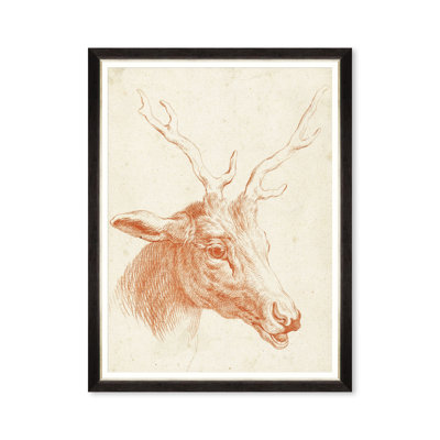 DEER HEAD