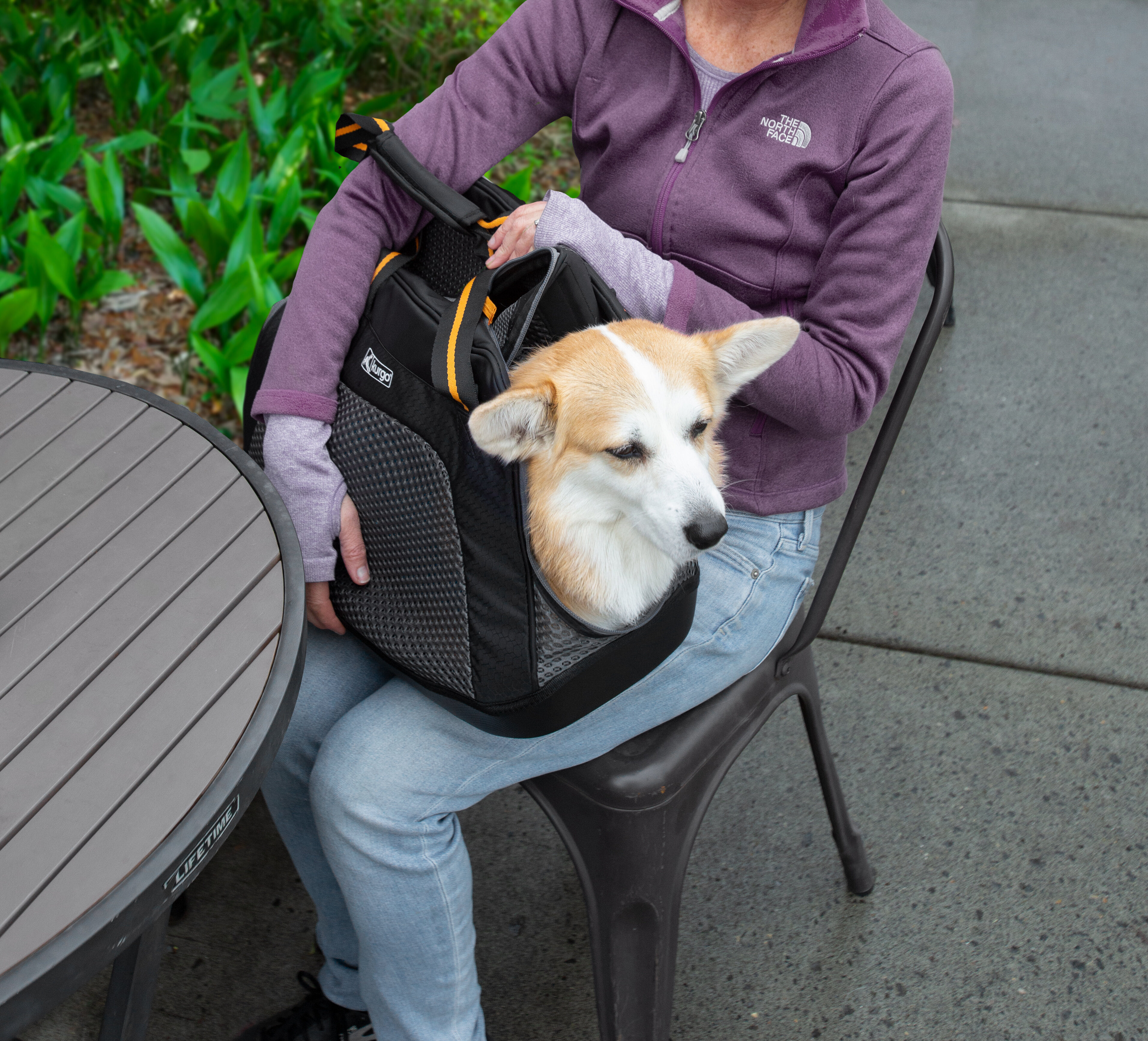 Kurgo explorer shop dog carrier