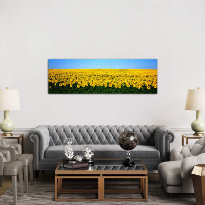 Sunflower FieldNorth Dakota, USA 1 Piece Wrapped Canvas Panoramic Wall Art