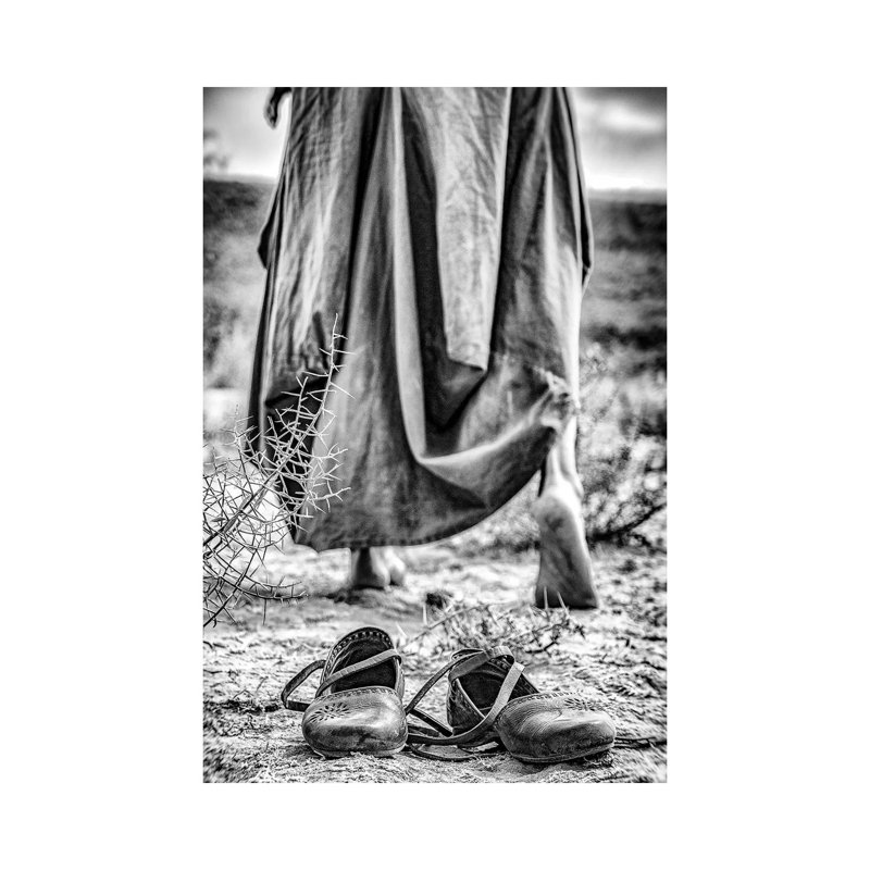 Passenger by Afshin Saeidinia - Print on Canvas, 66.04cm H x 45.72cm W x 3.81cm D, Wrapped Canvas