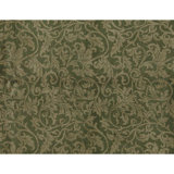 Hand Knotted Wool Area Rug in Green And Cream