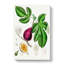 Fig Tree Illustration - Wrapped Canvas-55316395