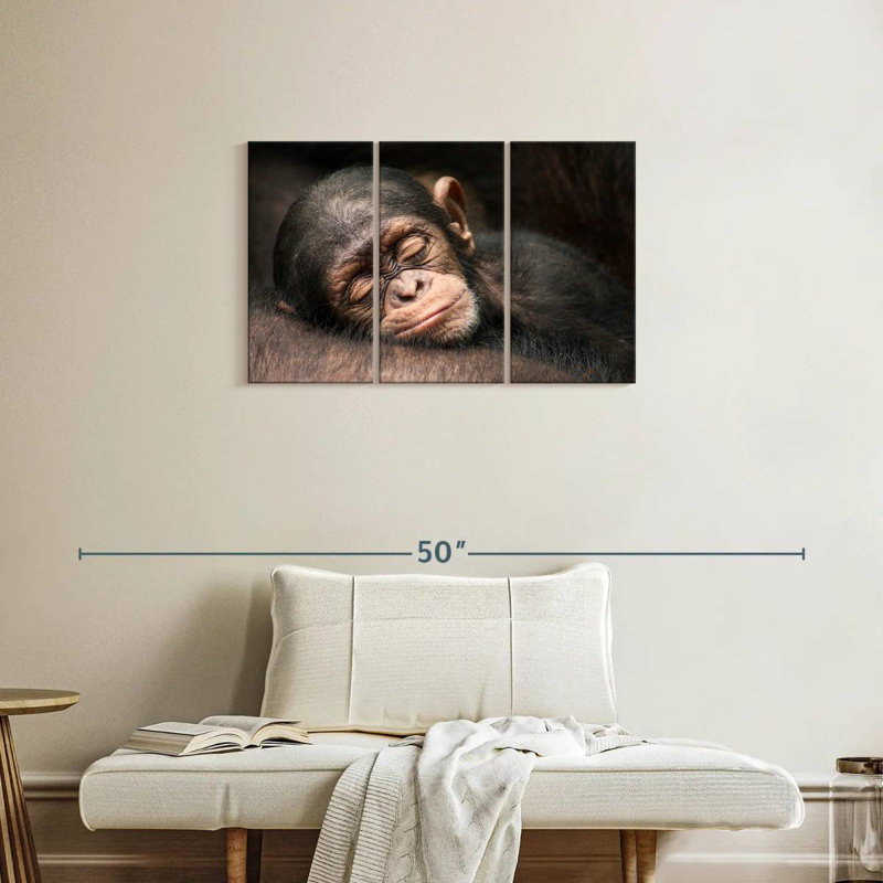 Bébé chimpanzé endormi Brampt, H 20 po x l 33 po