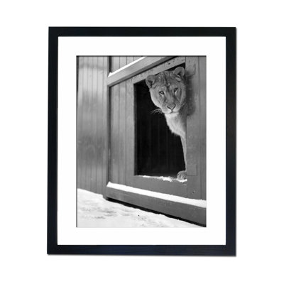 Single Picture Frame Print