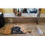 Tapis de séchage d'automne Black Pekingese Heirloom