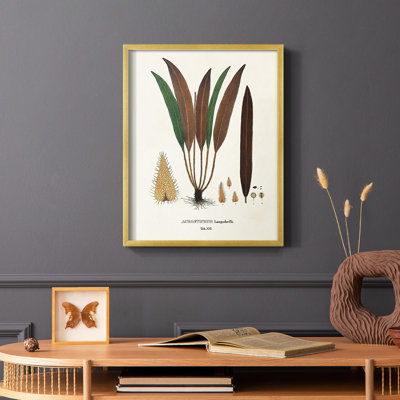 Botanical Society Ferns I, reproduction encadrée - bois massif