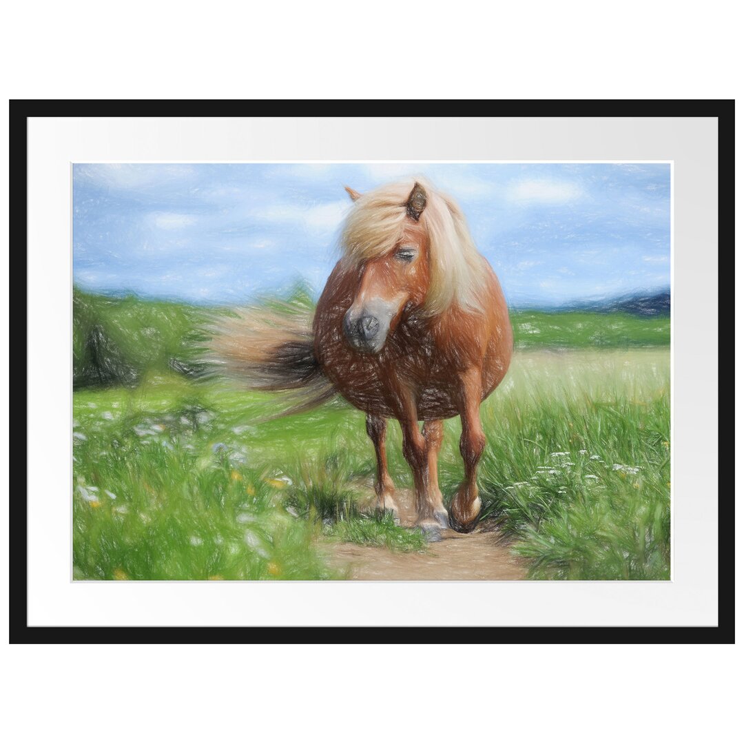 Gerahmtes Poster Shetlandpony auf der Wiese