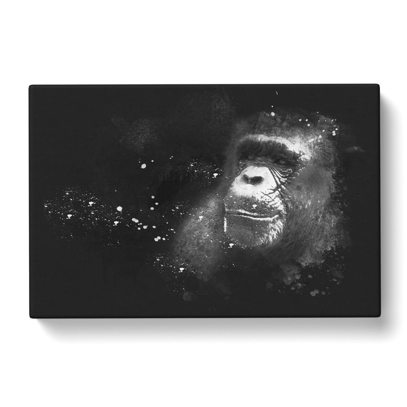 Ape - Wrapped Canvas Painting, 40cm H x 60cm W x 3cm D
