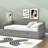 Twin Size 2 Drawers Daybed with Trundle-859160165