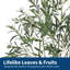 Olive artificielle avec feuilles et fruits réalistes pour l'intérieur et l'extérieur-217116458