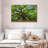 Old Oak Tree-37457939-37457943